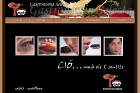 Productes CIO